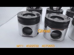 M11:4022532 4070653 Las autoridades de los Estados miembros deben: